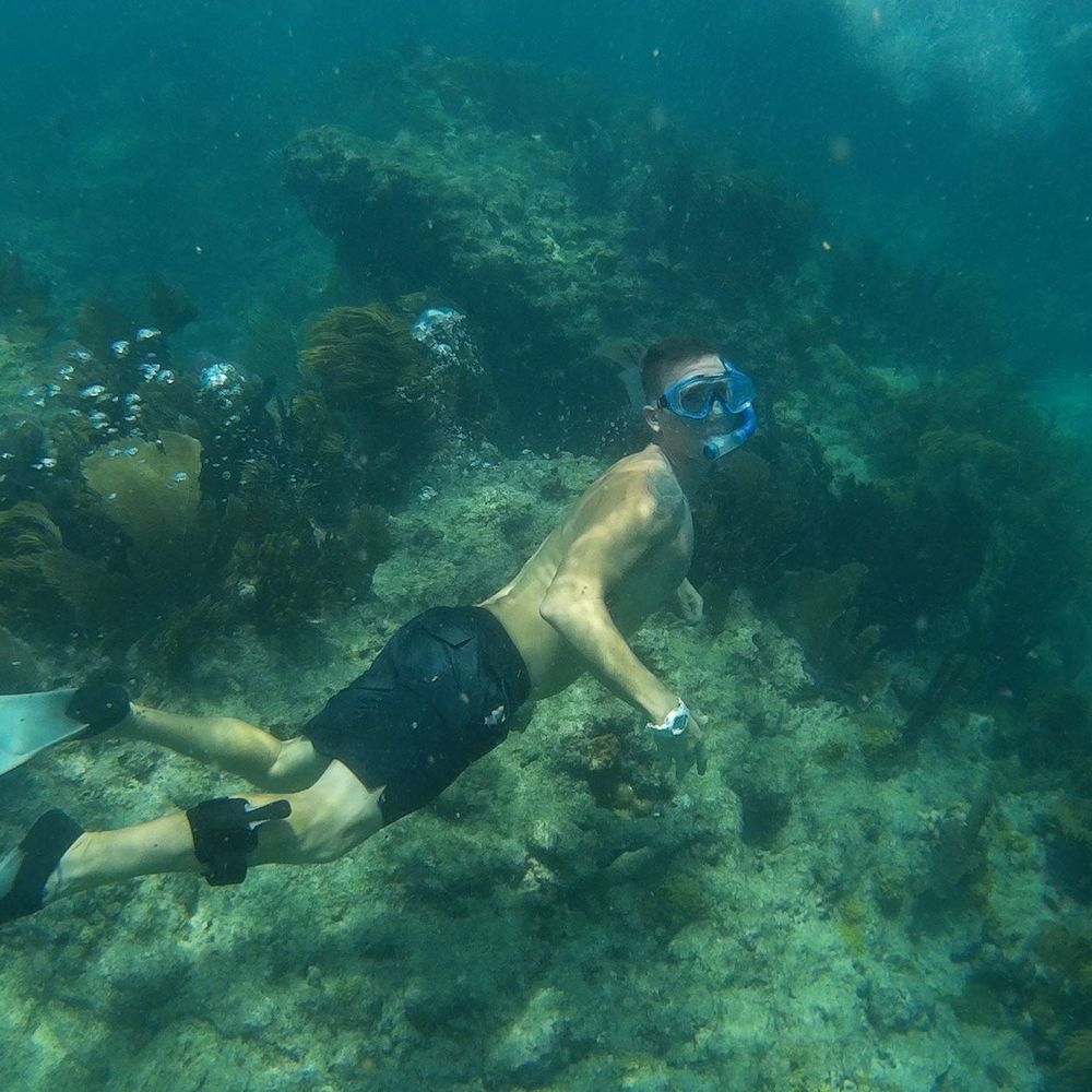 Meet your Posher, Philip